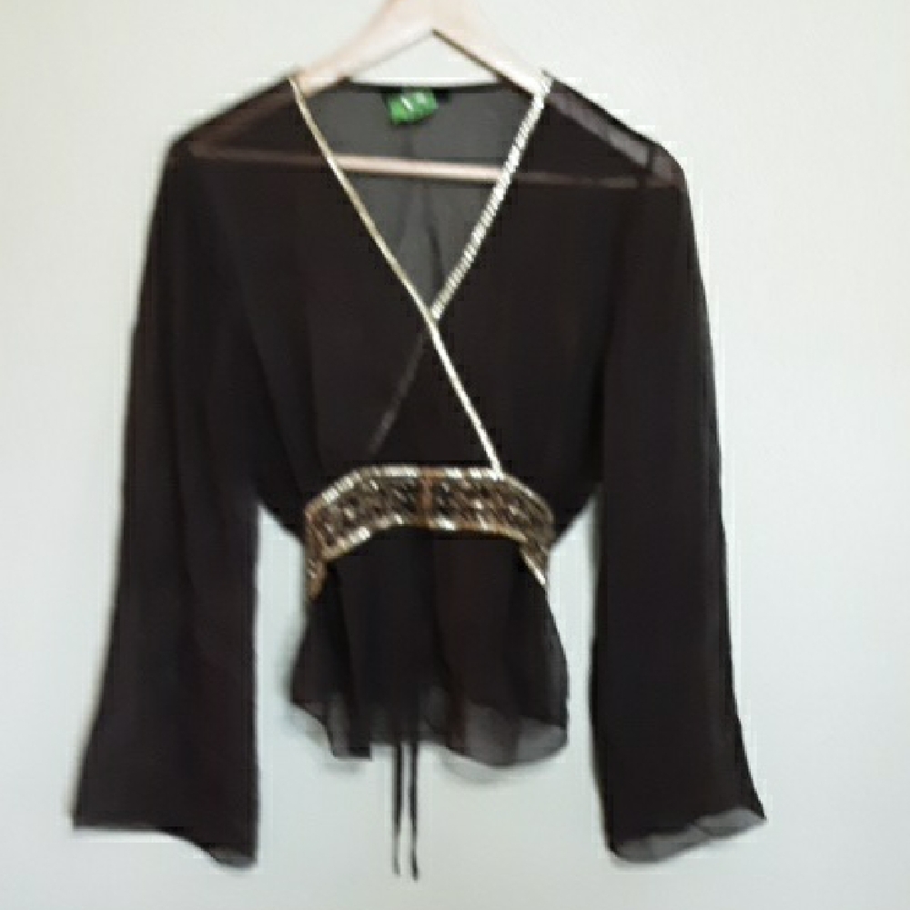ECI Brown Sheer Blouse with Gold Accents